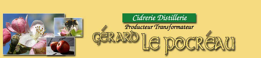 cidre morbihan bretagne