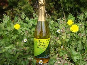 Aval Breiz - Jus de pommes Guillevic pétillant